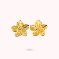 Boucles d'oreilles Fleurs