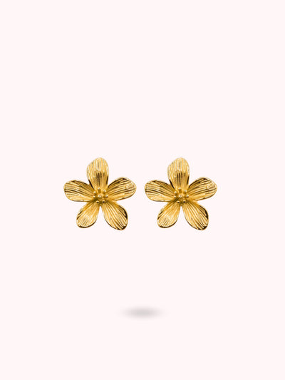 Boucles d'oreilles Capucine