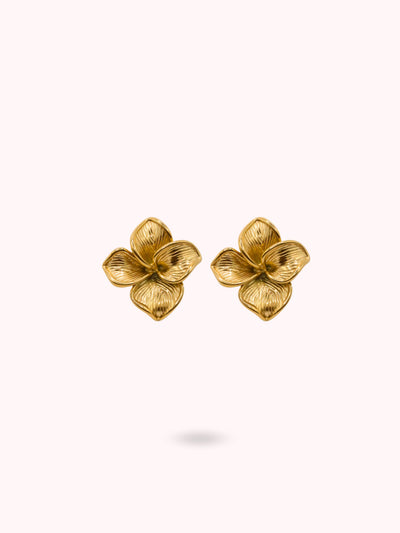 Boucles d'oreilles Kaëlyn