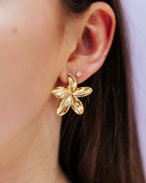 Boucles d'oreilles Vaiana